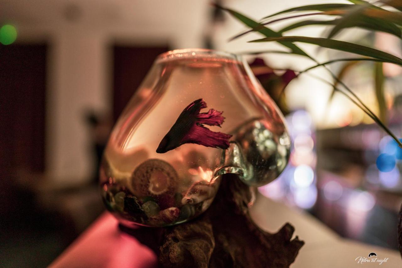 Relaxcentrum Ludmila Cabaj-Capor エクステリア 写真